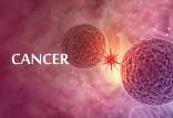 سرطان,کلسیم عامل موثر در درمان سرطان