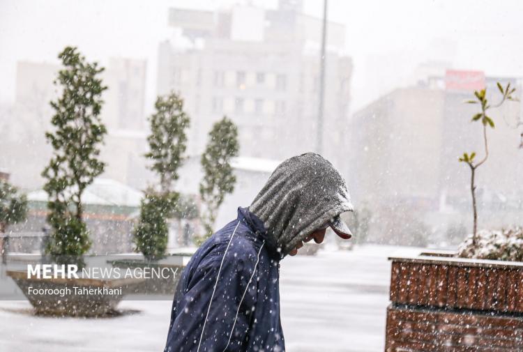 تصاویر اولین برف تهران در زمستان 1402,تصاویر اولین برف تهران در بهمن ماه,تصاویر براش برف در تهران