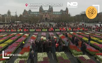 فیلم/ جشن روز ملی گل لاله در آمستردام هلند