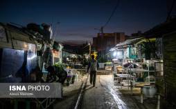 تصاویر بازار گل محلاتی در آستانه سال نو 1403,عکس های بازار گل محلاتی,تصاویری از بازار گل محلاتی,عکس هایی از بازار گل محلاتی