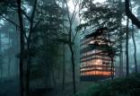 خانه جنگلی,یک خانۀ جنگلی شگفت‌انگیز با معماری بی‌نقص ژاپنی