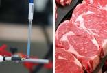 فساد گوشت,ابداع حسگر زیستی با توانایی تشخیص کیفیت گوشت