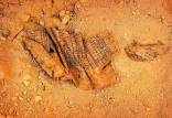 نوشته‌های 4500 ساله‌,فاش راز سازندگان اهرام