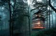 خانه جنگلی,یک خانۀ جنگلی شگفت‌انگیز با معماری بی‌نقص ژاپنی