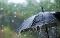 باران,پیش‌بینی بارش بیش‌ از نرمال طی نوروز 1403