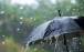 باران,پیش‌بینی بارش بیش‌ از نرمال طی نوروز 1403
