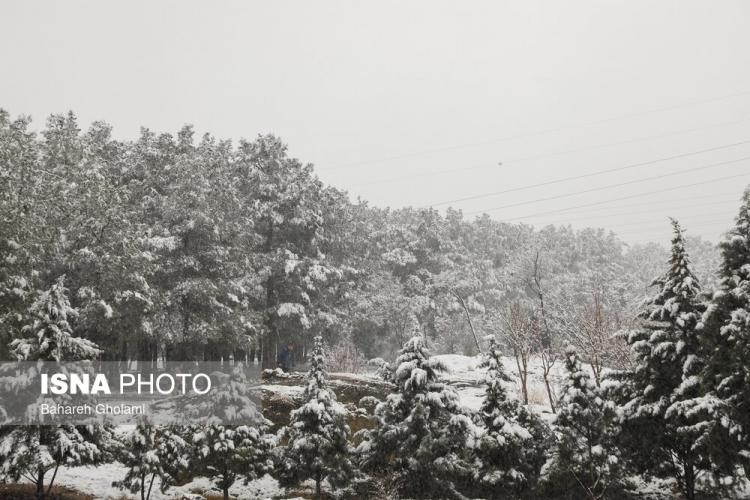 تصاویر اولین برف زمستانی اصفهان,عکس های بارش برف در اصفهان,تصاویر براش برف اصفهان