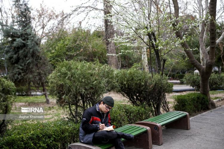 تصاویر شکوفه‌های بهاری در تهران,عکس های شکوفه‌های بهاری در تهران,تصاویری از فصل بهار در تهران