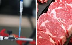 فساد گوشت,ابداع حسگر زیستی با توانایی تشخیص کیفیت گوشت