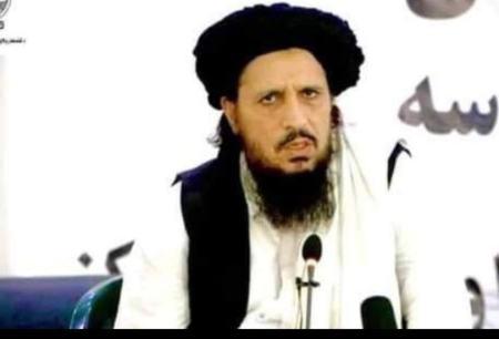 کشته شدن یک عضو طالبان افغانستان,ولوی محمد عمر جان