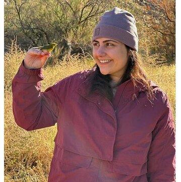 کبوتر,افشای راز پشتک زدن کبوترها توسط محقق زن ایرانی