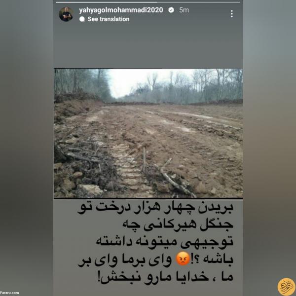 یحیی گل‌محمدی,واکنش یحیی گل محمدی به قطع درختان هیرکانی