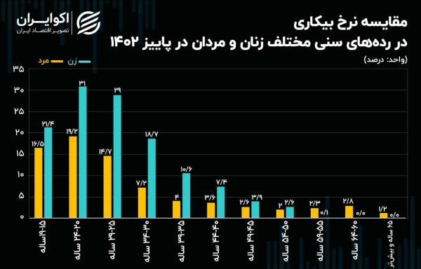 بیکاری,پرچمداران بیکاری در ایران