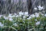 بارش باران در ایران,آخرین وضعیت بارش باران در کشور