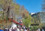 مخالفت مردم با ساخت پارک در قیطریه,تجمع مخالفان ساخت مسجد و قطع درختان در پارک قیطریه تهران