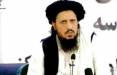 کشته شدن یک عضو طالبان افغانستان,ولوی محمد عمر جان