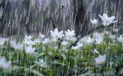 بارش باران در ایران,آخرین وضعیت بارش باران در کشور