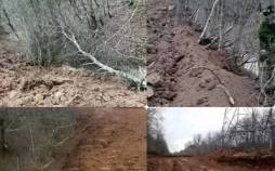 تخلف شرکت برق مازندران در ماجرای جنگل الیمالات,قطع درختان جنگل الیمالات