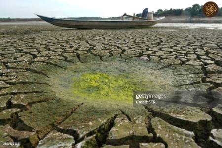 مرگ دسته جمعی ماهی‌ها ,علل مرگ دسته جمعی ماهی‌ها