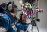 نهنگ تک‌شاخ براق ,عروسک پولک‌دار مخملی,فضانوردان ناسا