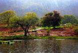 میزان بارش در غرب کشور,سازمان هواشناسی کشور