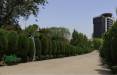 ساخت ۴ هتل در بوستانهای تهران ,ساخت و ساز در بوستان قیطریه