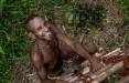 آخرین قبیله آدم خوارها در جهان,قبیله سنتینلی, قبیله آدم خوارها