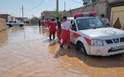 امدادرسانی به افراد متاثر سیل ۲۳ استان , سازمان امدادونجات