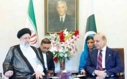 روابط ایران و پاکستان,تنش مرزی ایران و پاکستان,سفرهای خارجی رئیس‌جمهور