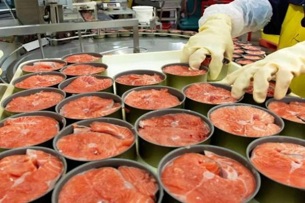 تن ماهی,رشد ۱۸۰۰ درصدی قیمت کنسرو ماهی