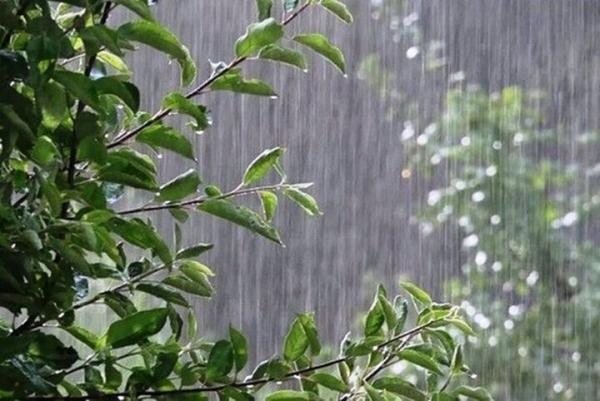 آخرین وضعیت آب و هوایی کشور,احتمال رگبار باران و رعد و برق در مناطق غربی و شمالی کشور