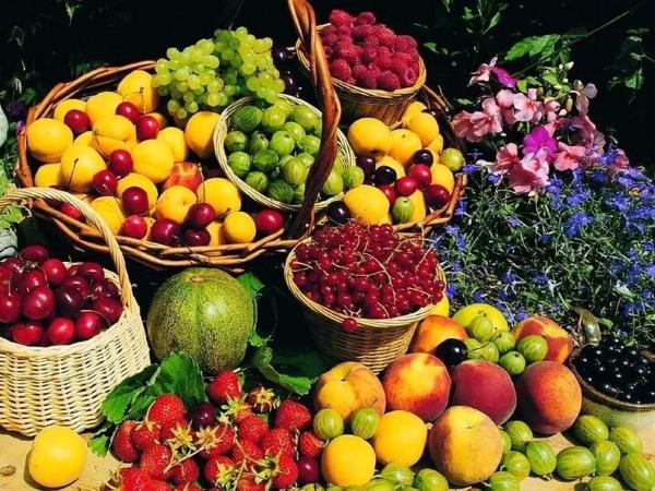 قیمت میوه,رواج نیم کیلو فروشی در بازار میوه