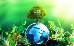 افزایش ۱۰ برابری دی اکسیدکربن, افزایش دی اکسیدکربن