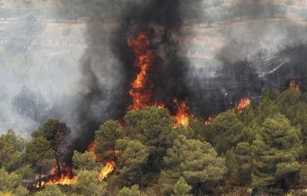 آتش گرفتن جنگل های زاگرس,جنگل های سوخته زاگرس
