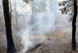 عامل آتش سوزی جنگل‌های خفر,حبس برای عامل آتش سوزی جنگل‌های خفر