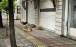 سگ ولگرد,حیوان گزیدگی در مهاباد