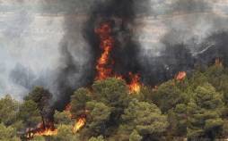 آتش گرفتن جنگل های زاگرس,جنگل های سوخته زاگرس