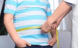 چاقی,ژن عامل چاقی