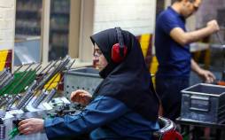وضعیت اشتغال زنان در ایران,سهم پایین زنان از اشتغال و مدیریت اقتصادی