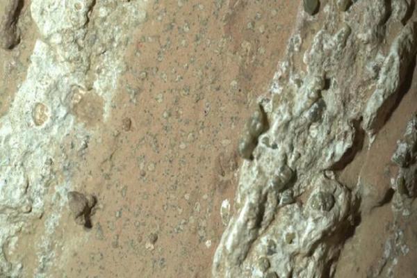 مریخ,کشف نشانه احتمالی حیات باستانی در مریخ