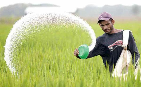 قیمت کود اوره,افزایش ۶ برابری قیمت کود اوره در زمان بدهکاری دولت به کشاورزان