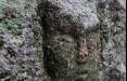 تخته‌سنگ در قزاقستان,کشف حکاکی مرموز چهرۀ انسان بر روی یک تخته‌سنگ در قزاقستان