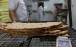 قیمت نان,افزایش ۲۵ درصدی قیمت نان در قزوین