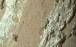 مریخ,کشف نشانه احتمالی حیات باستانی در مریخ