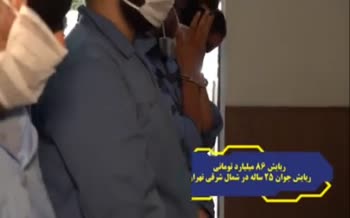 فیلم/ دستگیری عامل ربودن جوان تهرانی با ۸۶ میلیارد تومان سکه و دلار 