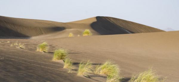 کویر طبس,مفقود شدگان در کویر طبس