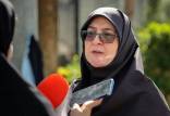 سحنگوی دولت,واکنش ها به تعرفه واردات آیفون