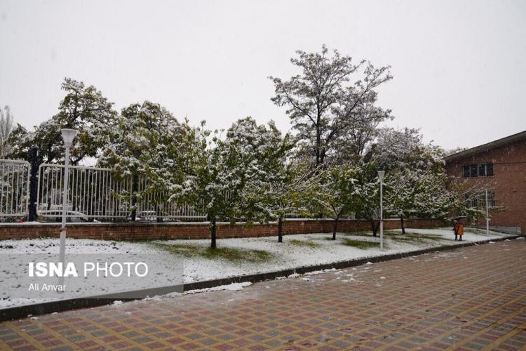 تصاویر بارش اولین برف پاییزی در برخی از شهرهای ایران,عکس های بارش برف در آبان 1403,تصاویر بارش برف پاییزی در ایران