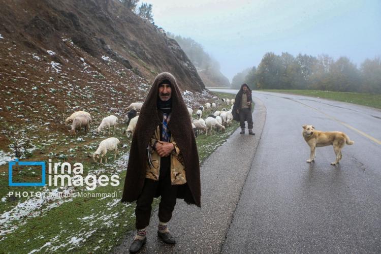 تصاویر بارش اولین برف پاییزی در برخی از شهرهای ایران,عکس های بارش برف در آبان 1403,تصاویر بارش برف پاییزی در ایران