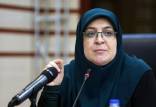 فاطمه مهاجرانی,سخنگوی دولت
